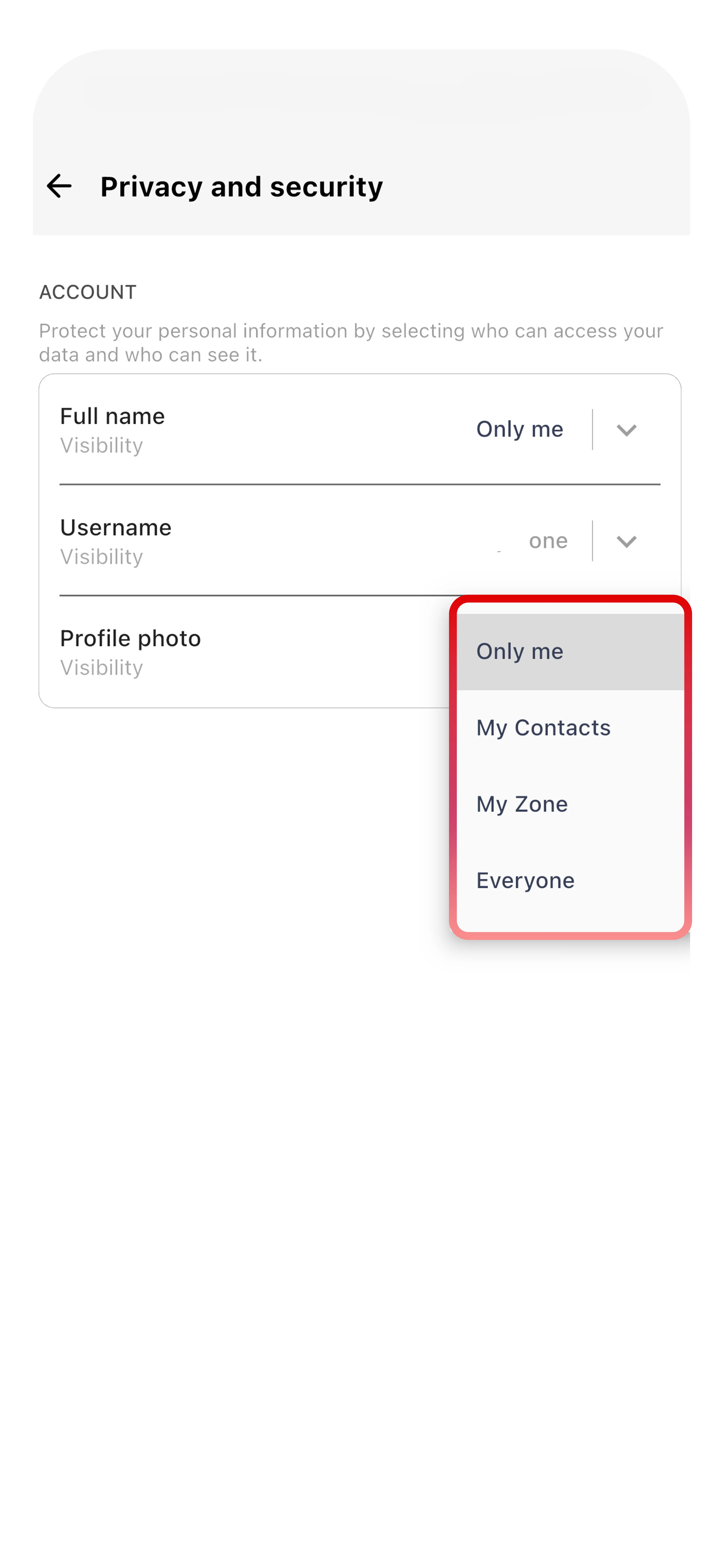 Privacy and security screen showing visibility controls with dropdown options