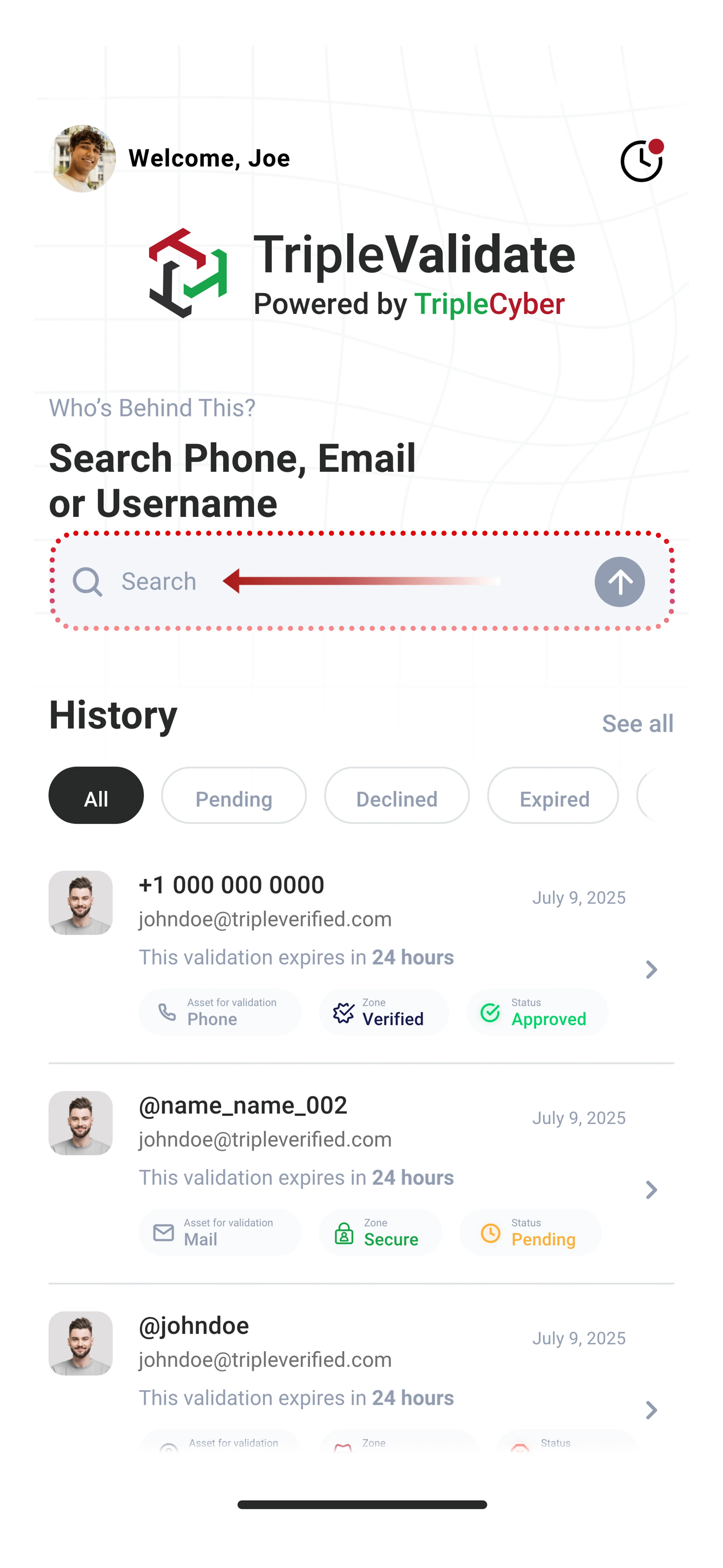 TripleValidate search bar