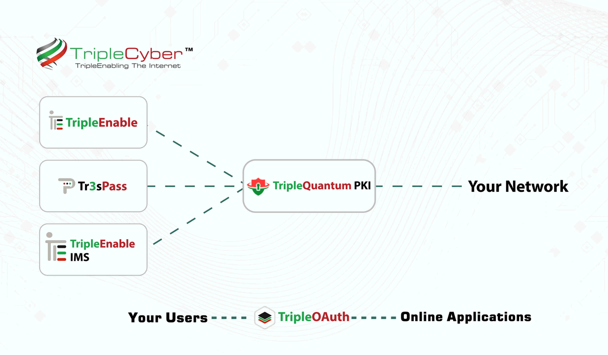 triplecyber segmentation